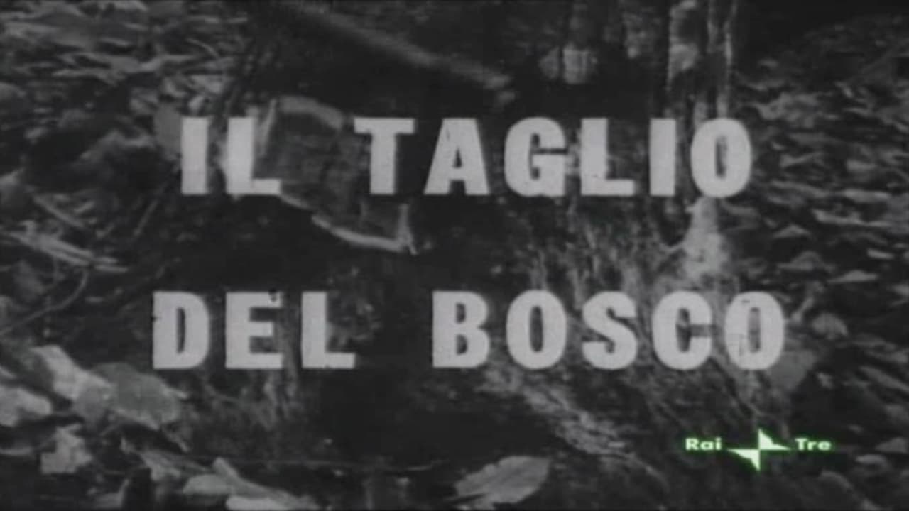 Il taglio del bosco (1963)