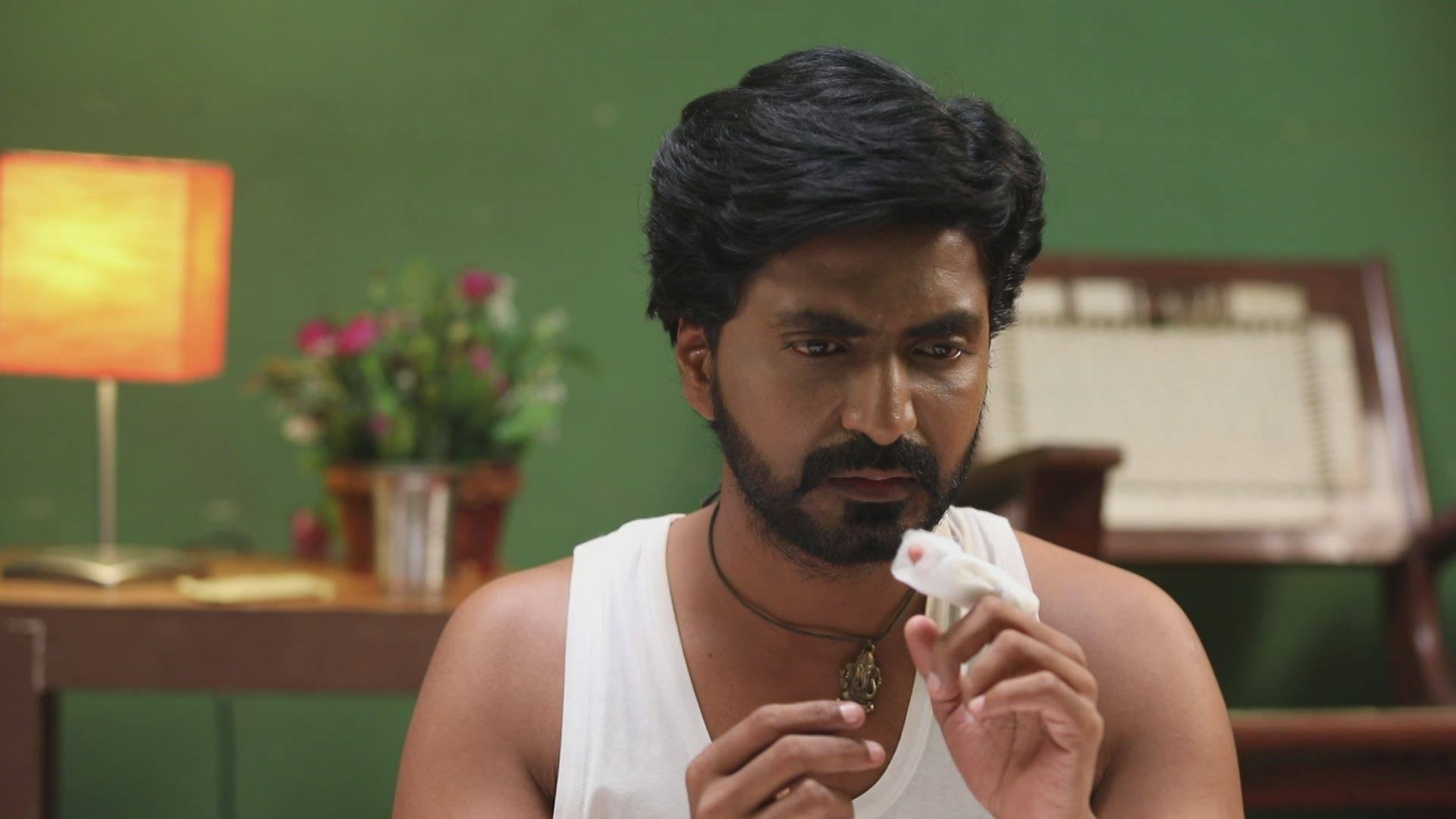 Chinna Thambi
