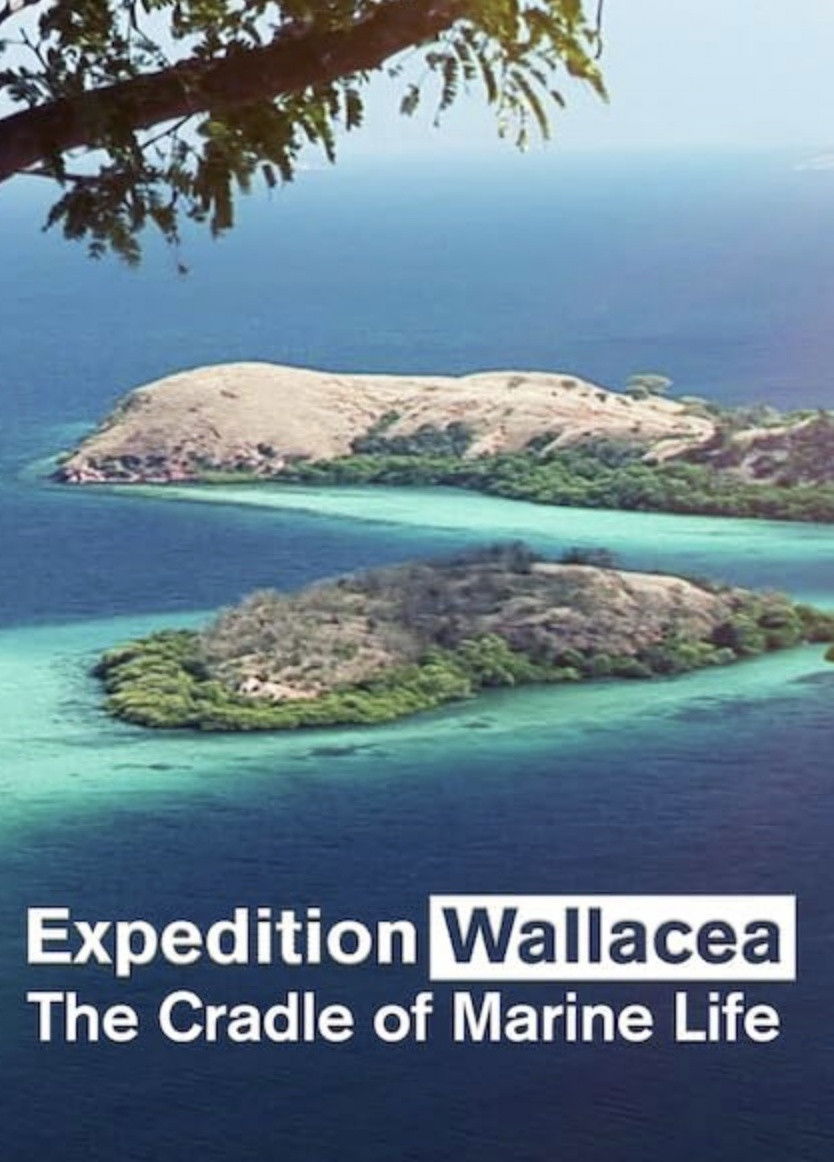 Wallacea - Expedition zur Wiege der Meeresfauna