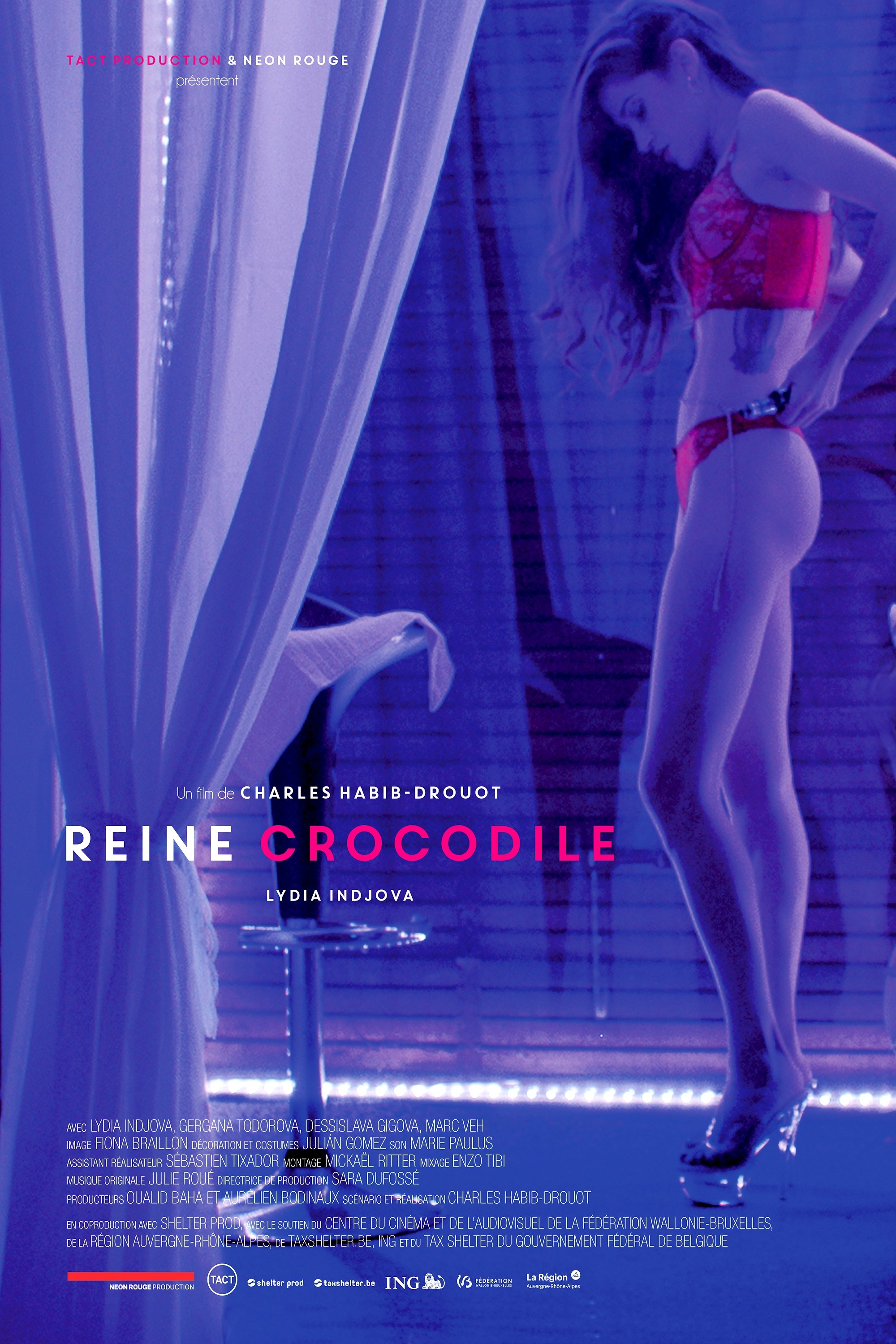 Reine Crocodile Reine Crocodile