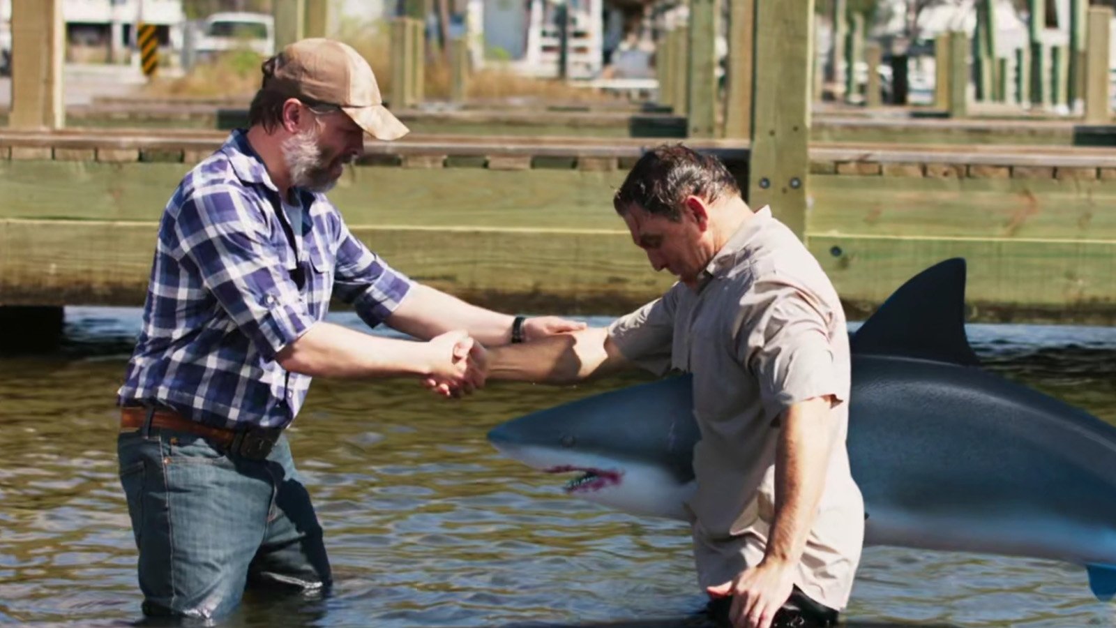 Mississippi River Sharks (2017)