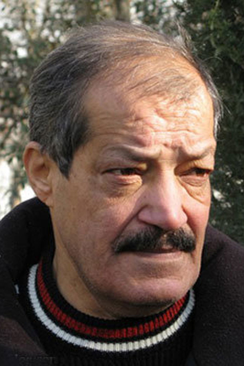 et billede af Hossein Shahab