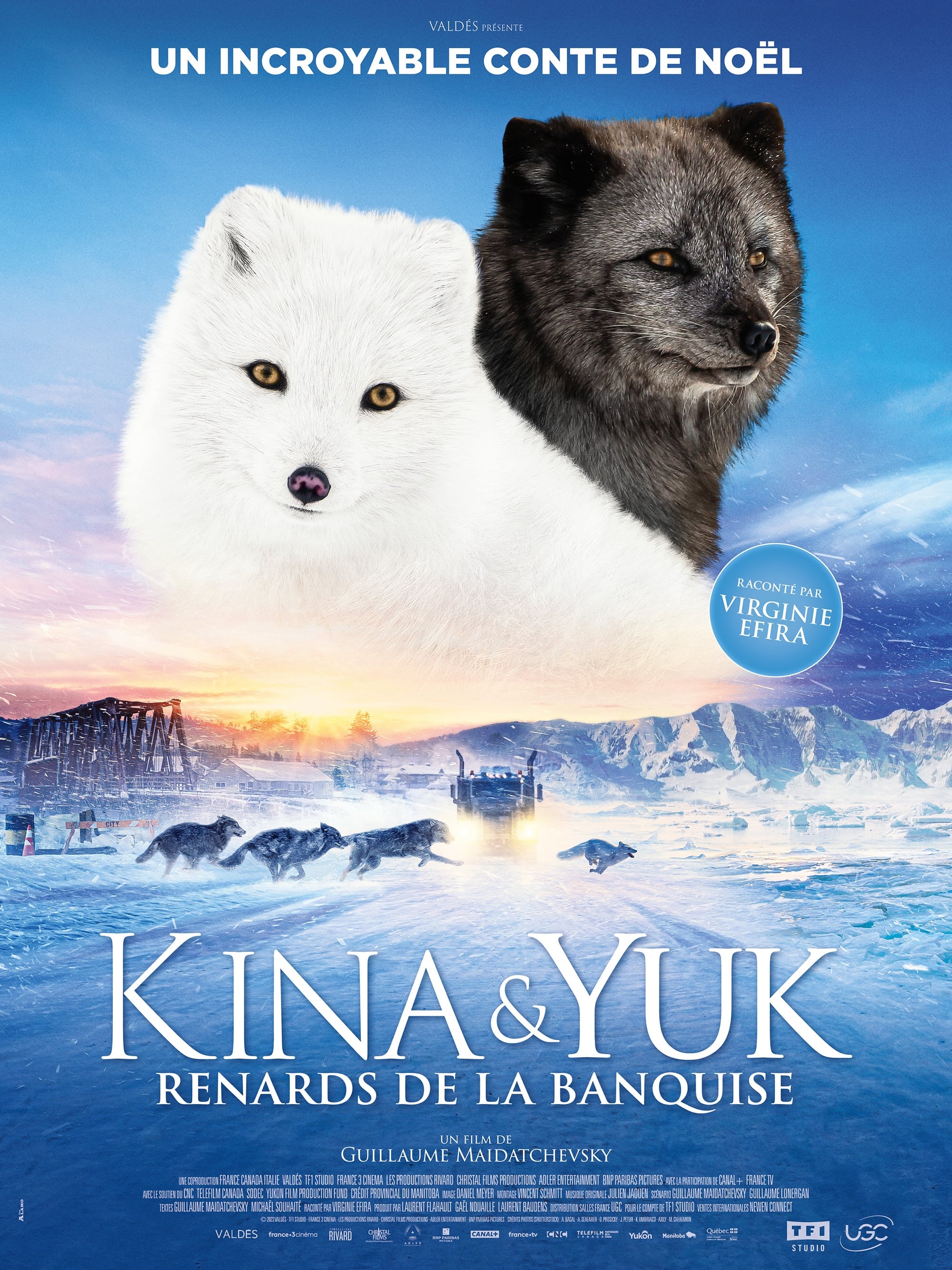 Affiche du film Kina & Yuk : renards de la banquise 194150