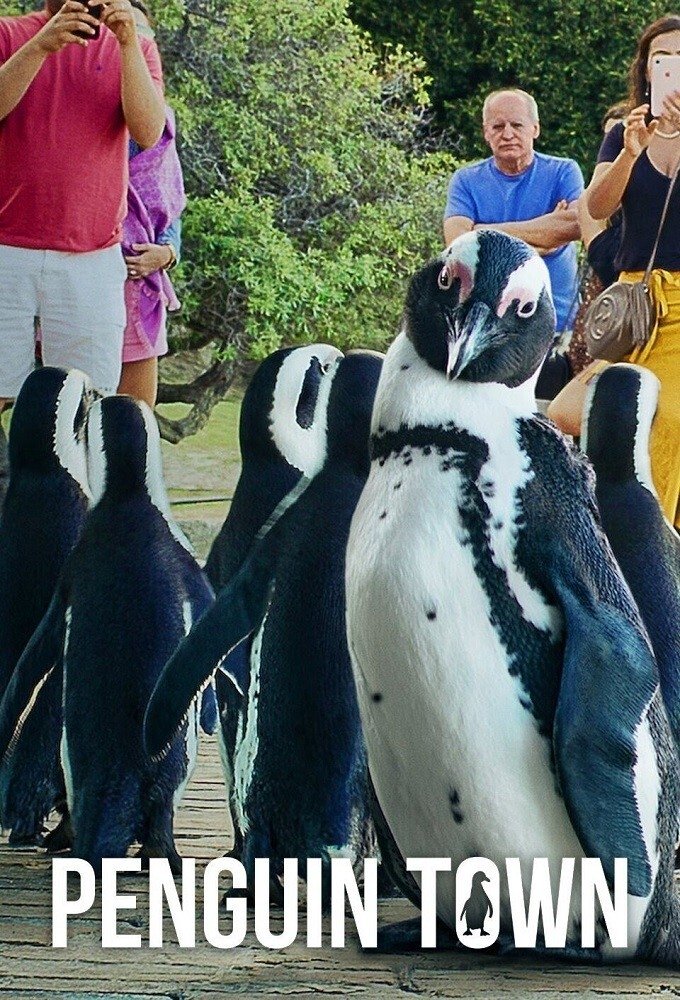 Penguin Town - Season 1