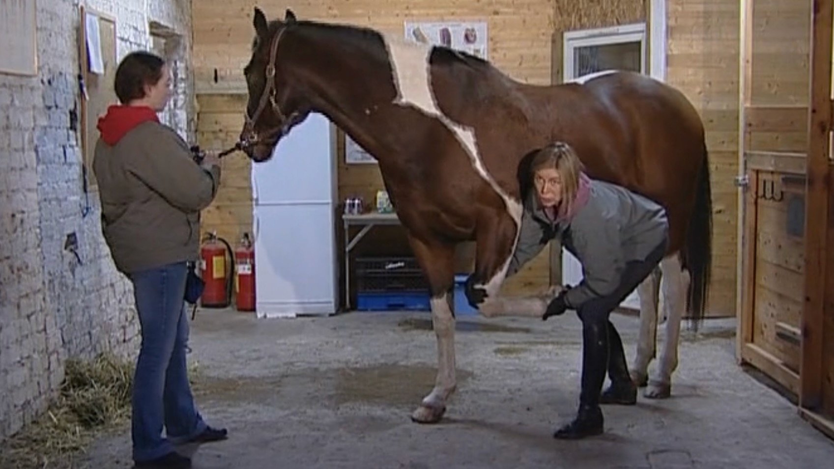 Rörelse utan Gränser (2006)