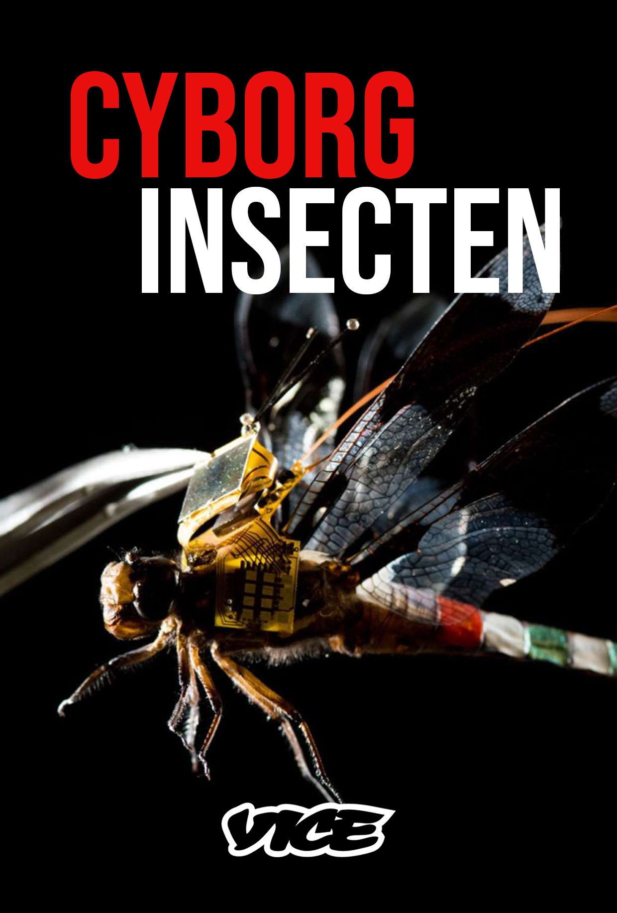 Cyborg Insecten