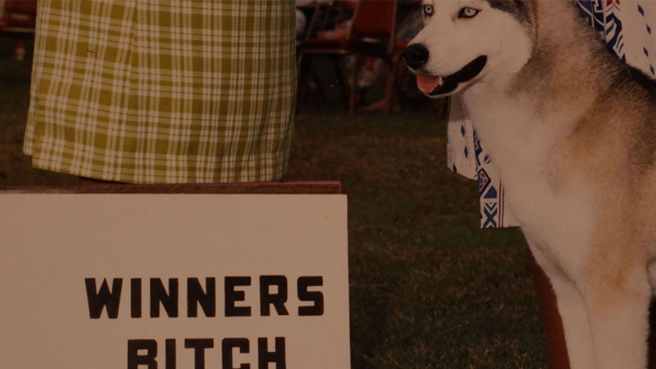 Winners Bitch backdrop