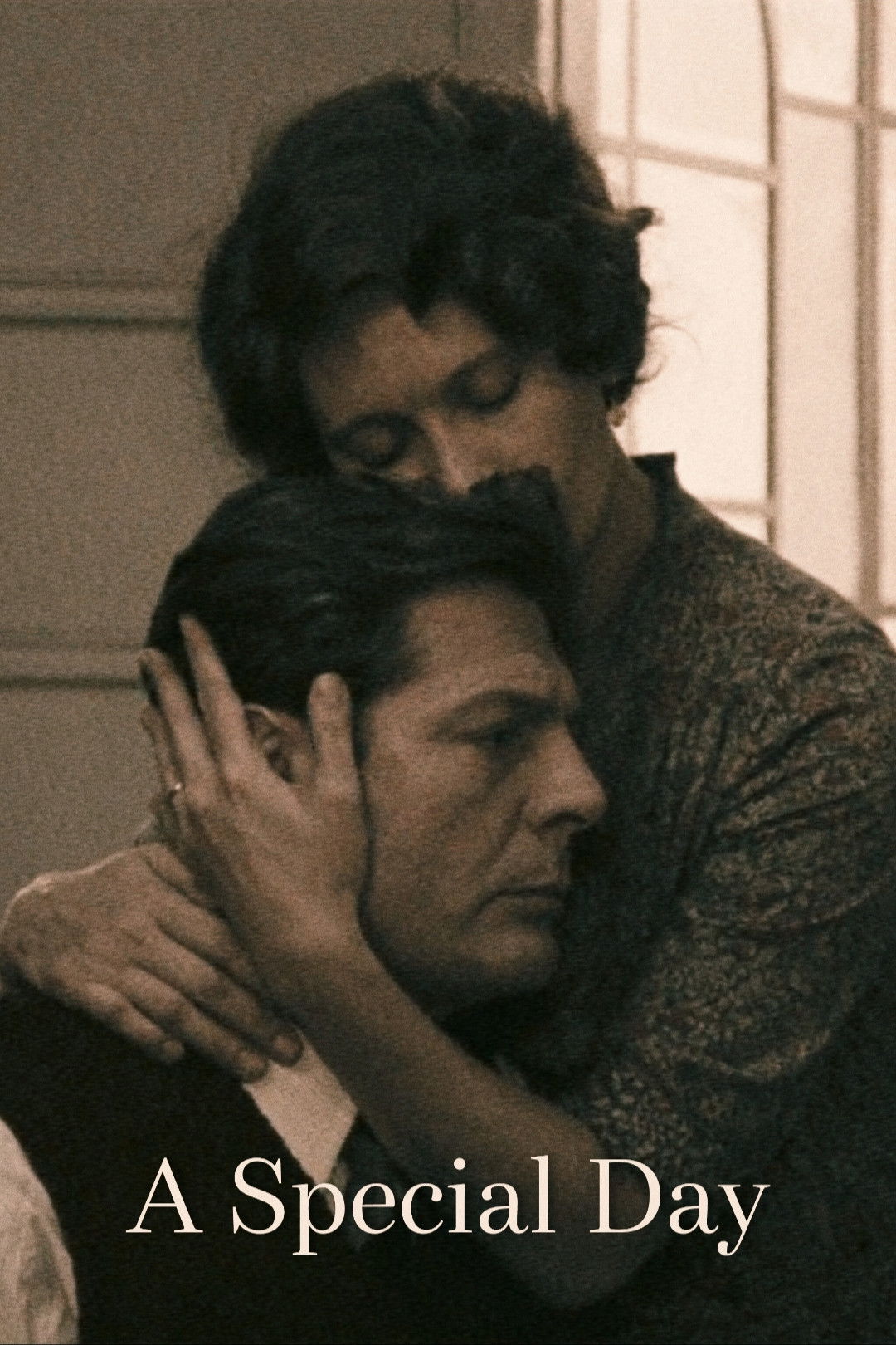 A Special Day