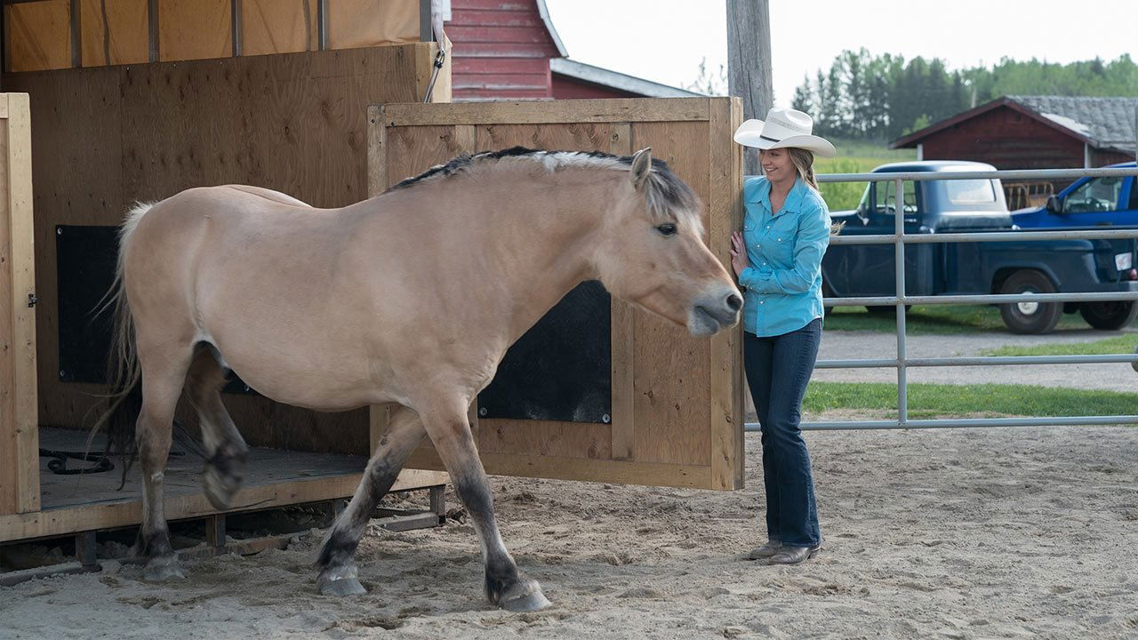 Heartland - Paradies für Pferde Staffel 11 :Folge 4 