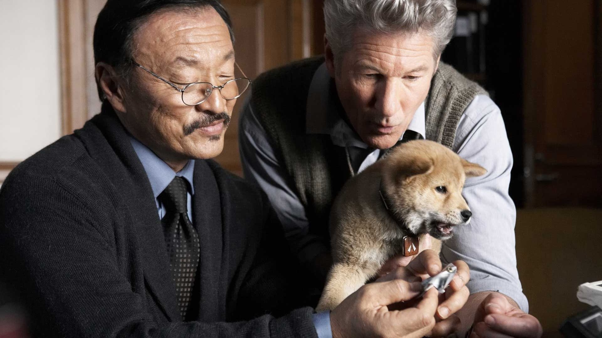 Hachi: A Dog's Tale (2009)