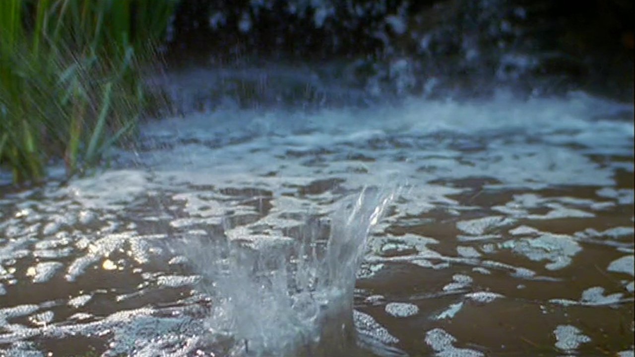 The Frog Prince (1991)
