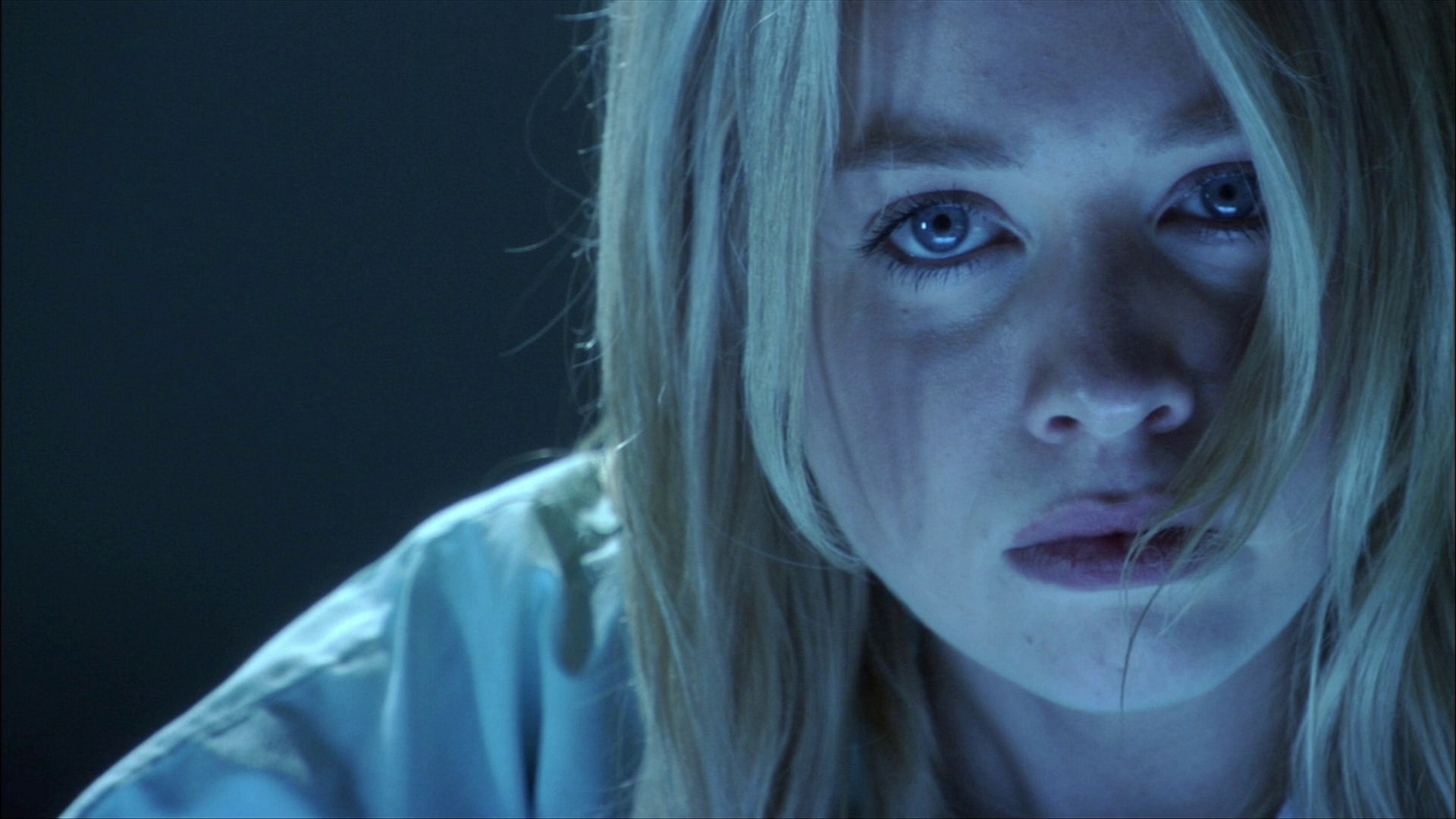 Devil's Diary (2007)