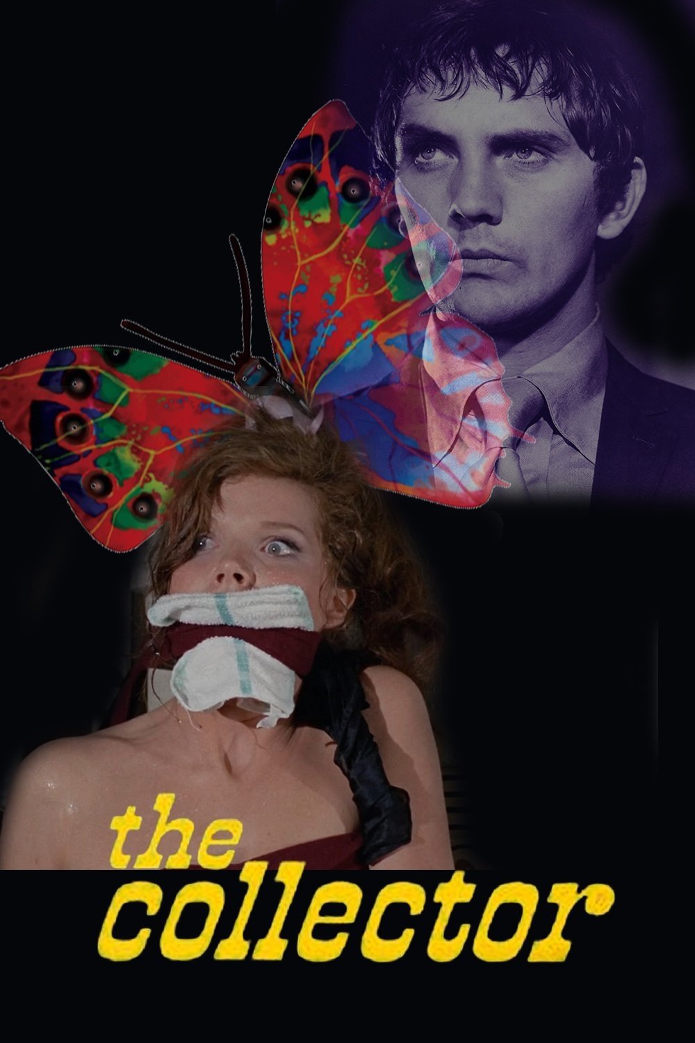The Collector