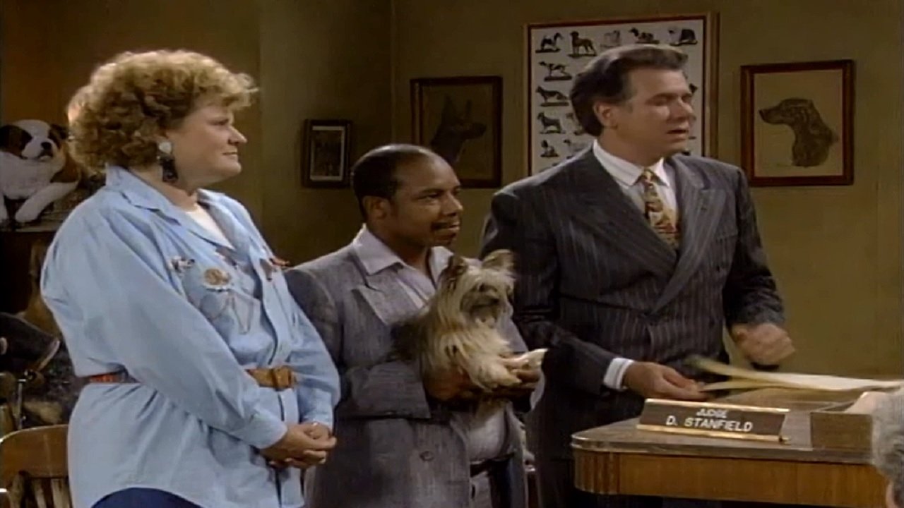 Night Court
