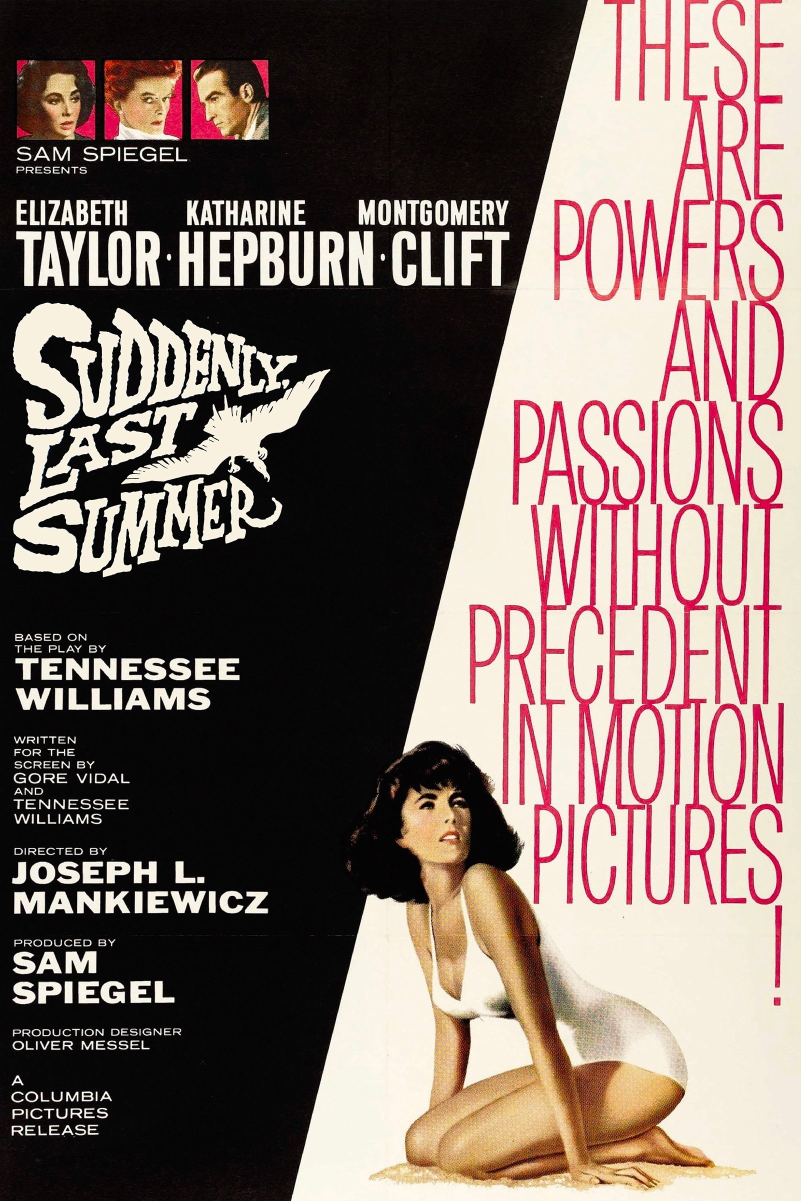 Suddenly, Last Summer