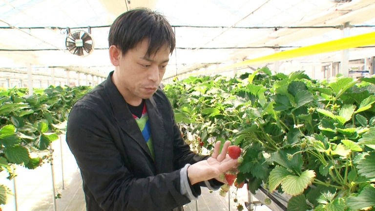 Thumbnail for Global Branding Through Smart Farming Season 1 Episode 5