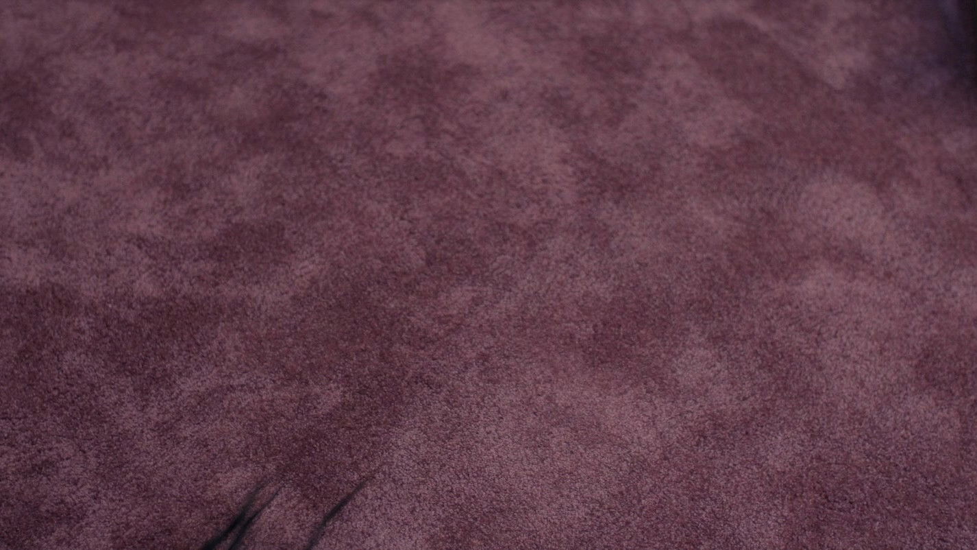 The Substance backdrop