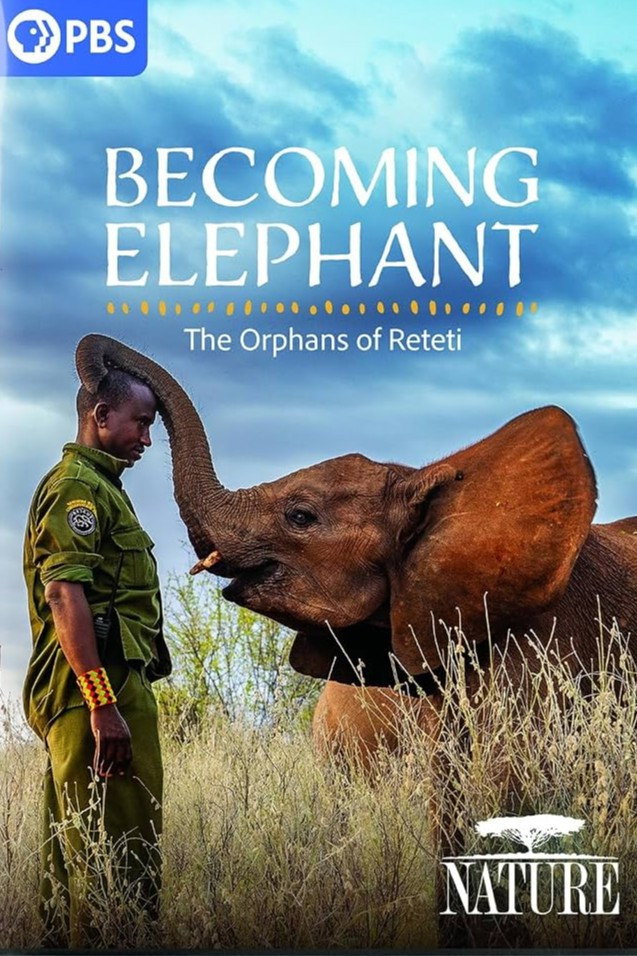 Becoming Elephant: The Orphans of Reteti