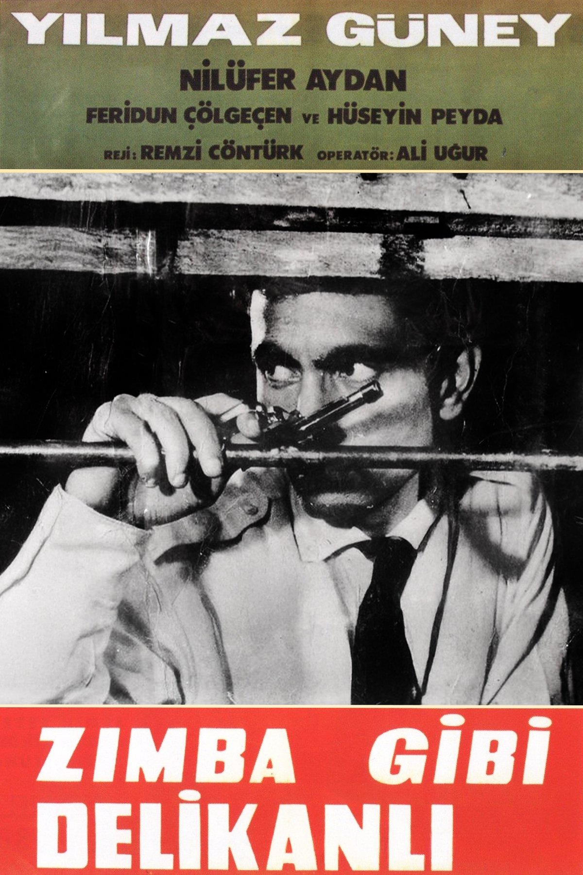 Movie image of : Zımba Gibi Delikanlı