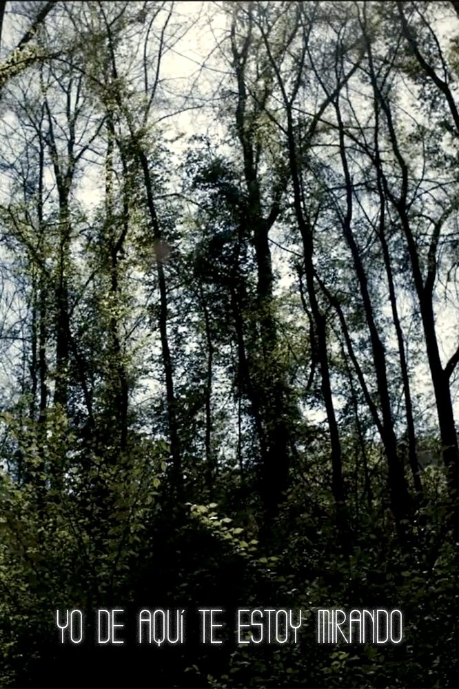 I'm Always Looking from Here (2011)