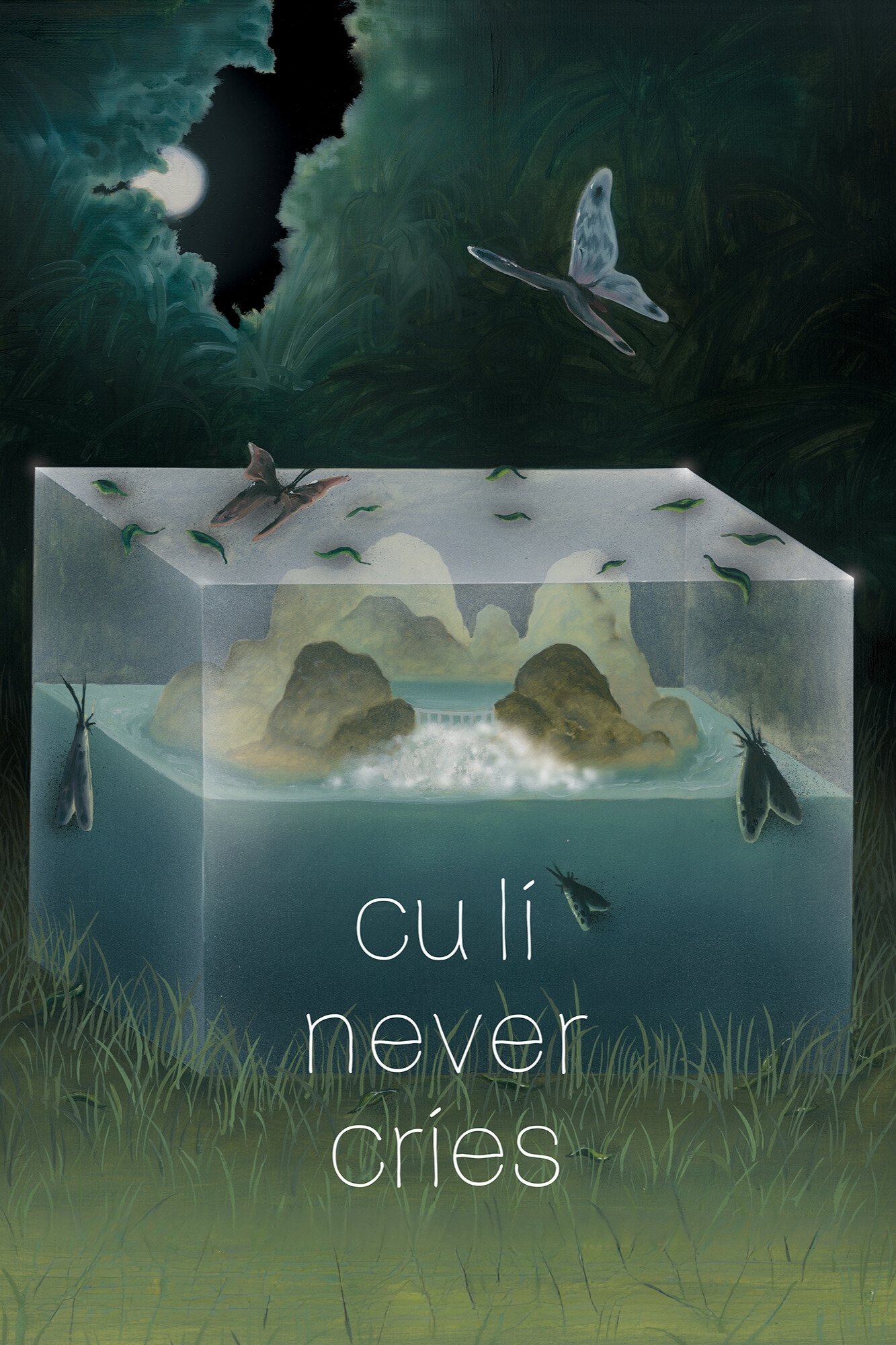 Cu Li Never Cries