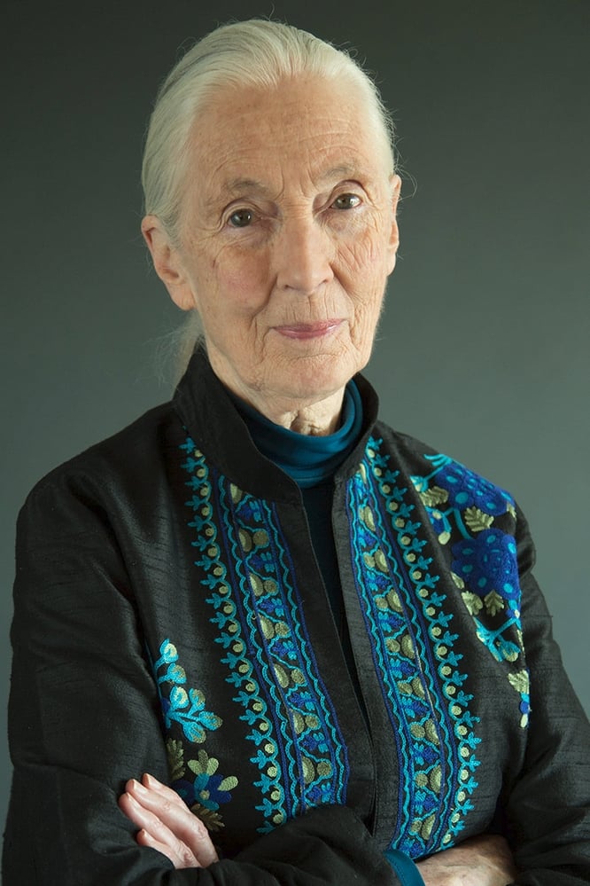 Photo de Jane Goodall 282164