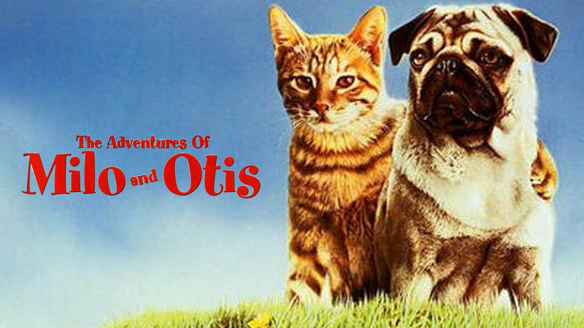 The Adventures of Milo and Otis - 123Movies1920 x 1080