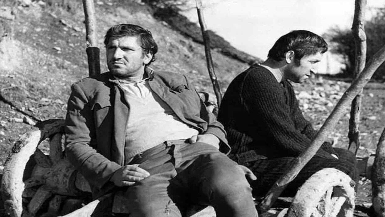 The Man from the Oak Forest (1964)