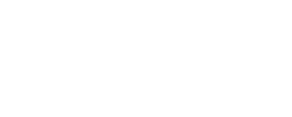 We Go In at Dawn logo