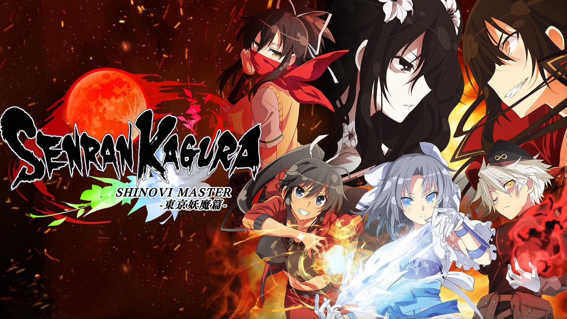 Senran Kagura: Ninja Flash