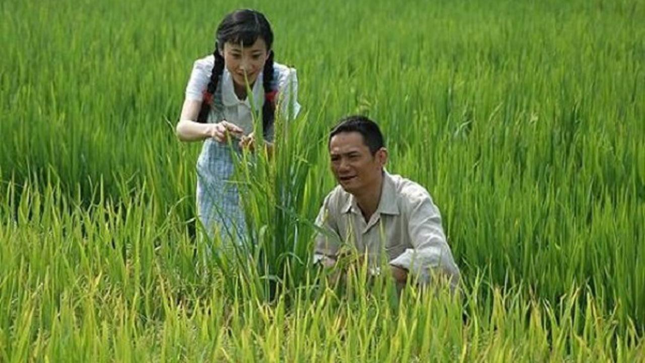 Yuan Long Ping (2009)