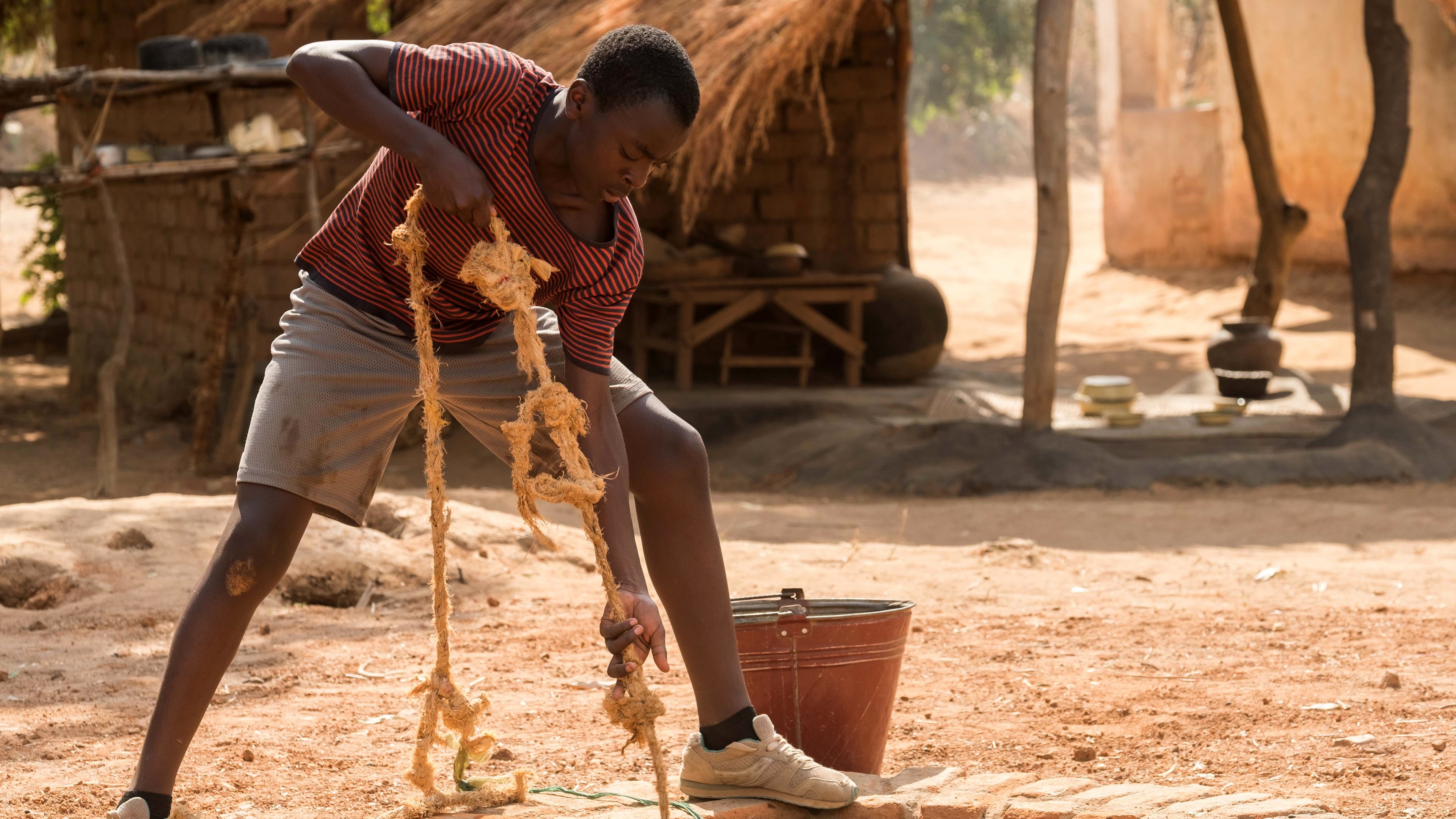 The Boy Who Harnessed the Wind