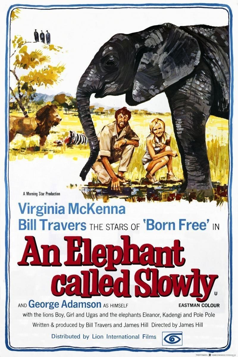 An Elephant Called Slowly