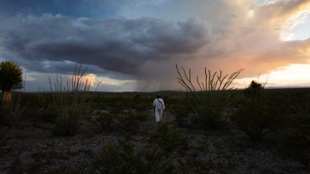 El sueño del Mara'akame (2016)