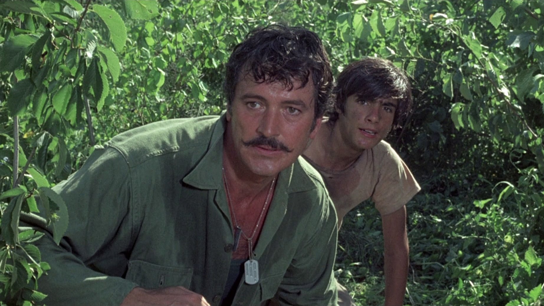 Hornets' Nest (1970)