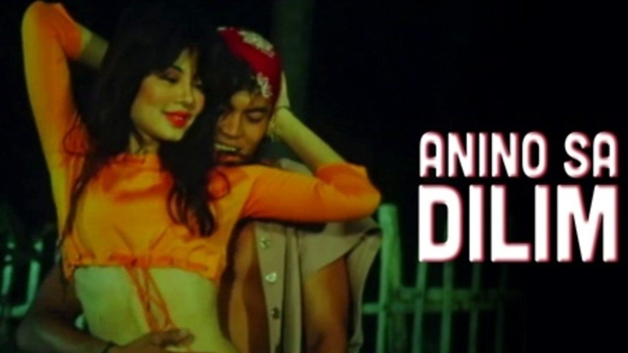 Anino Sa Dilim (1996)