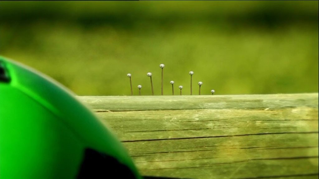 A Rolling Snail Gathers No Moss