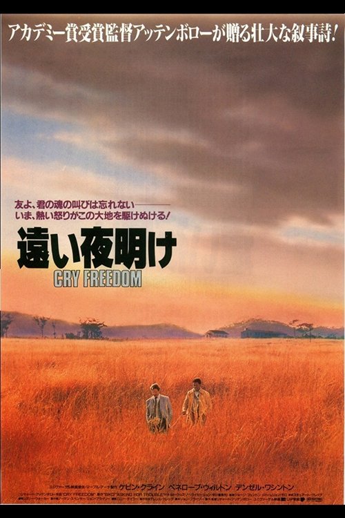 遠い夜明け