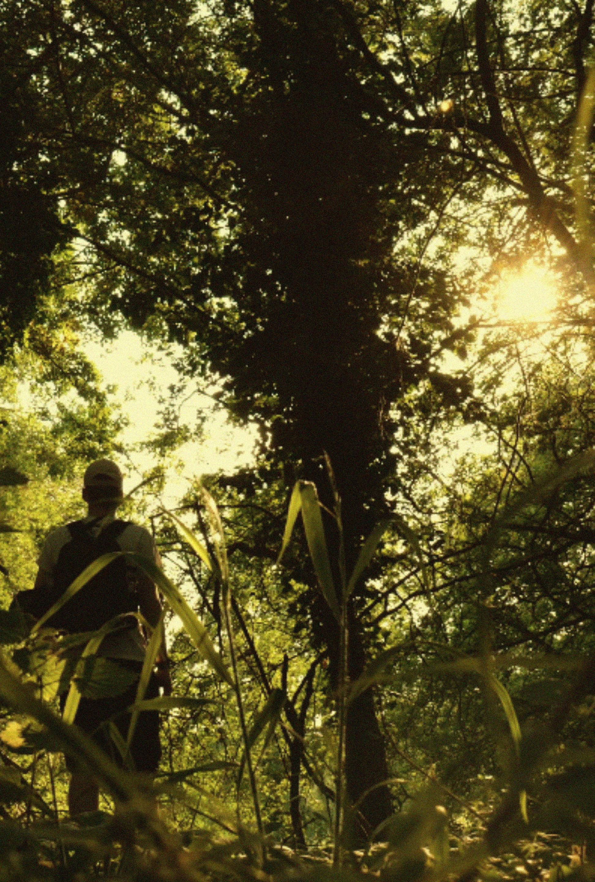 You're On Top of The World Poster