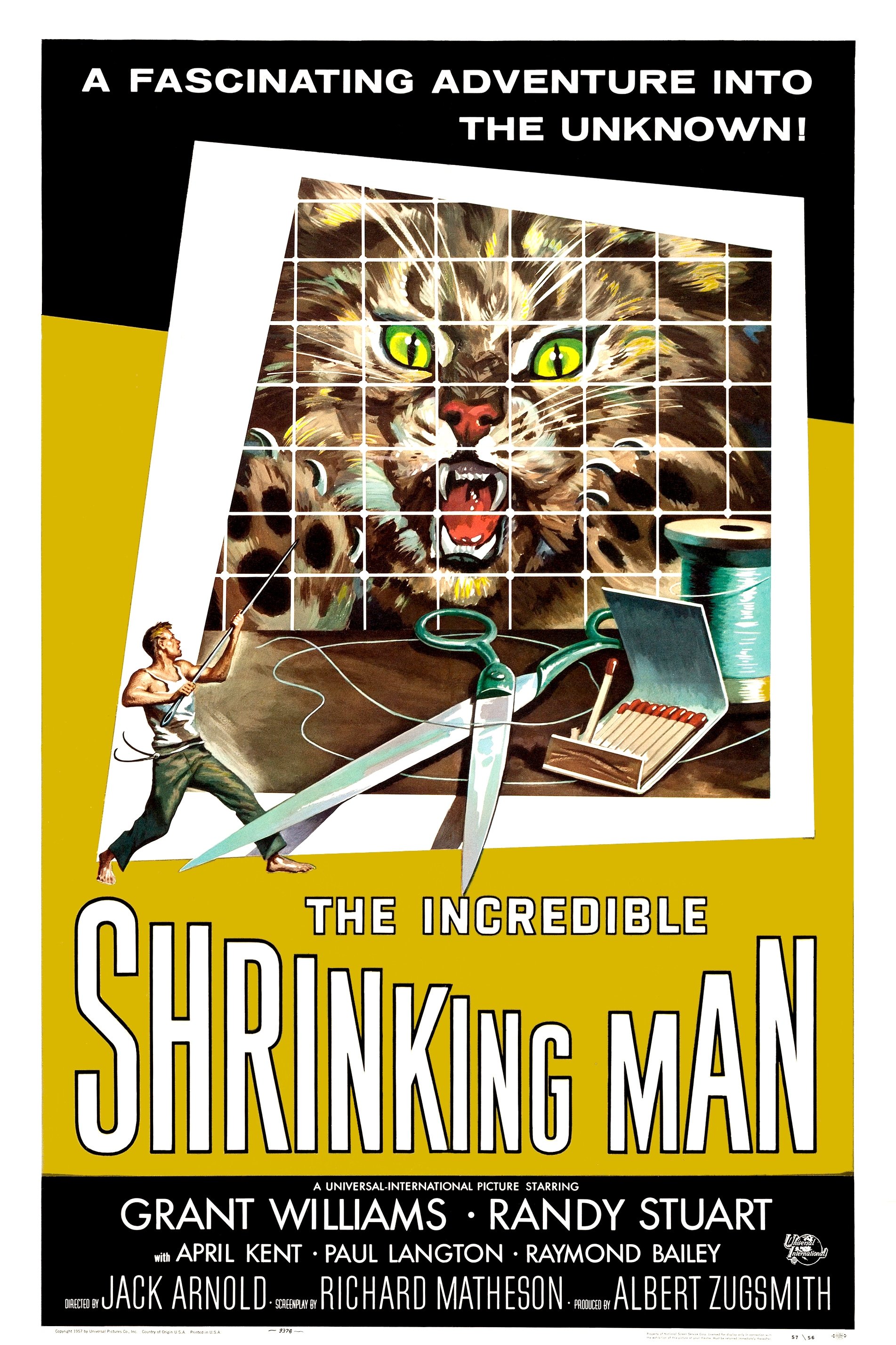 The Incredible Shrinking Man