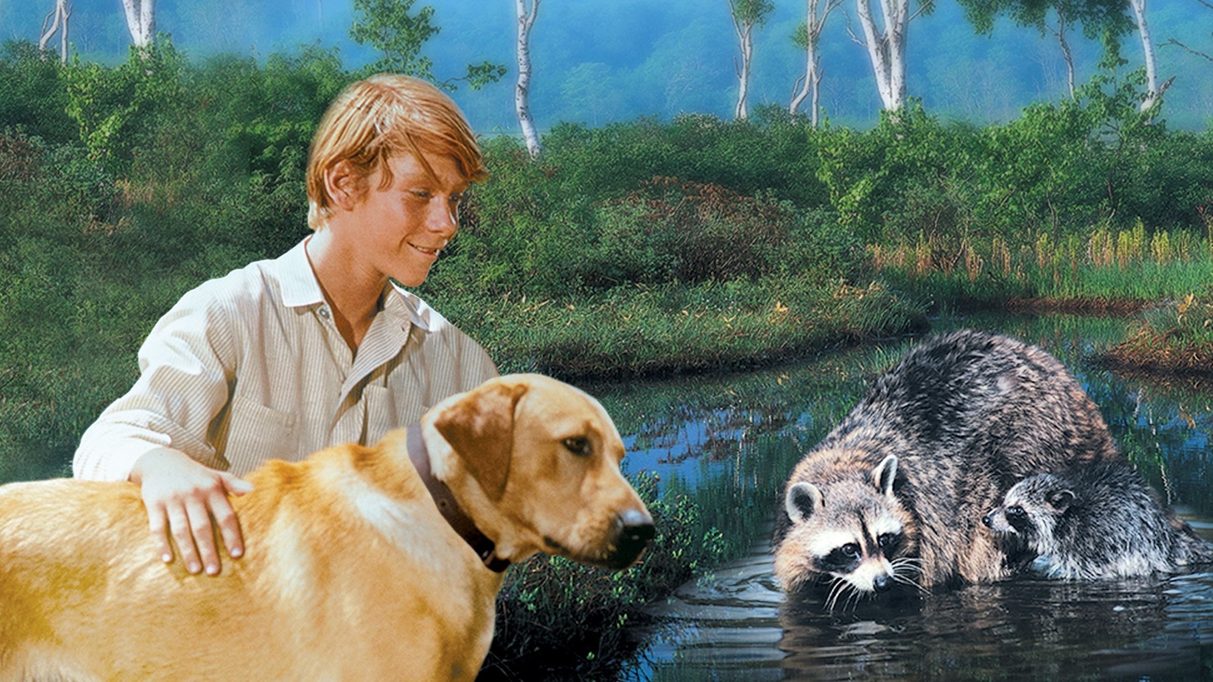 Rascal (1969)