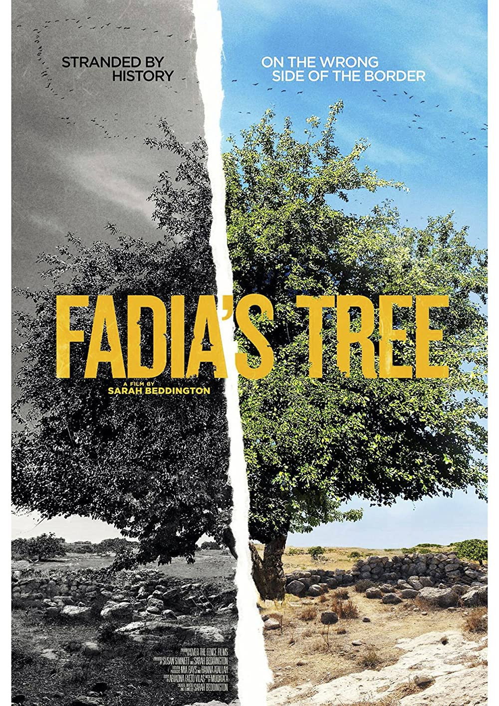 Fadia&rsquo;s Tree