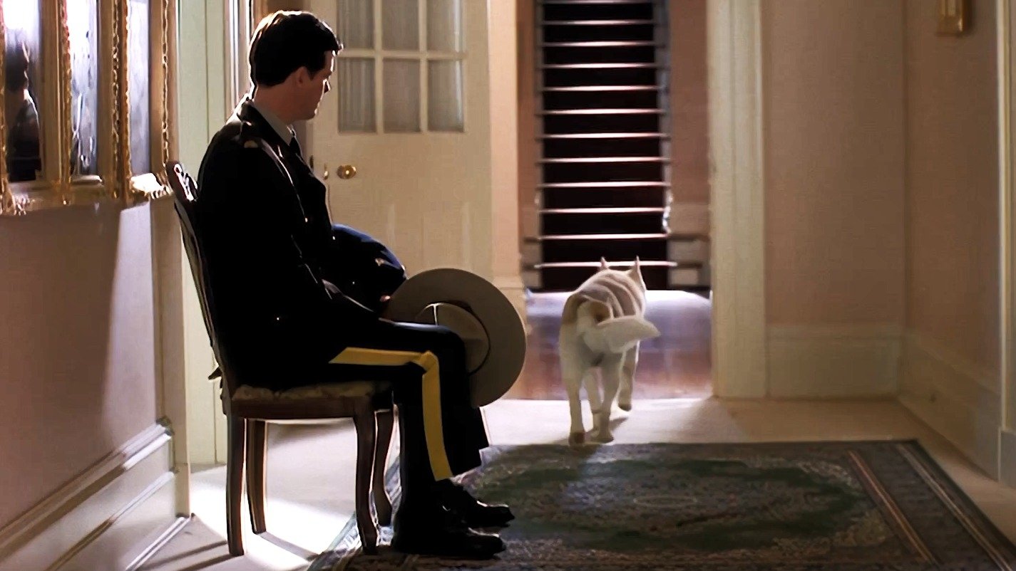Due South