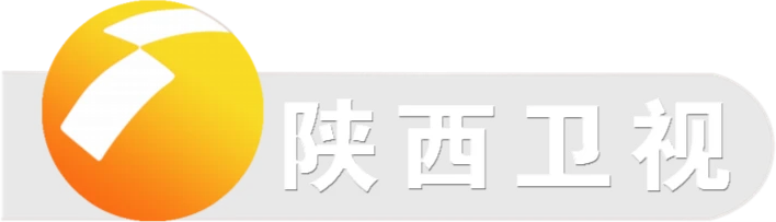 Shaanxi Television