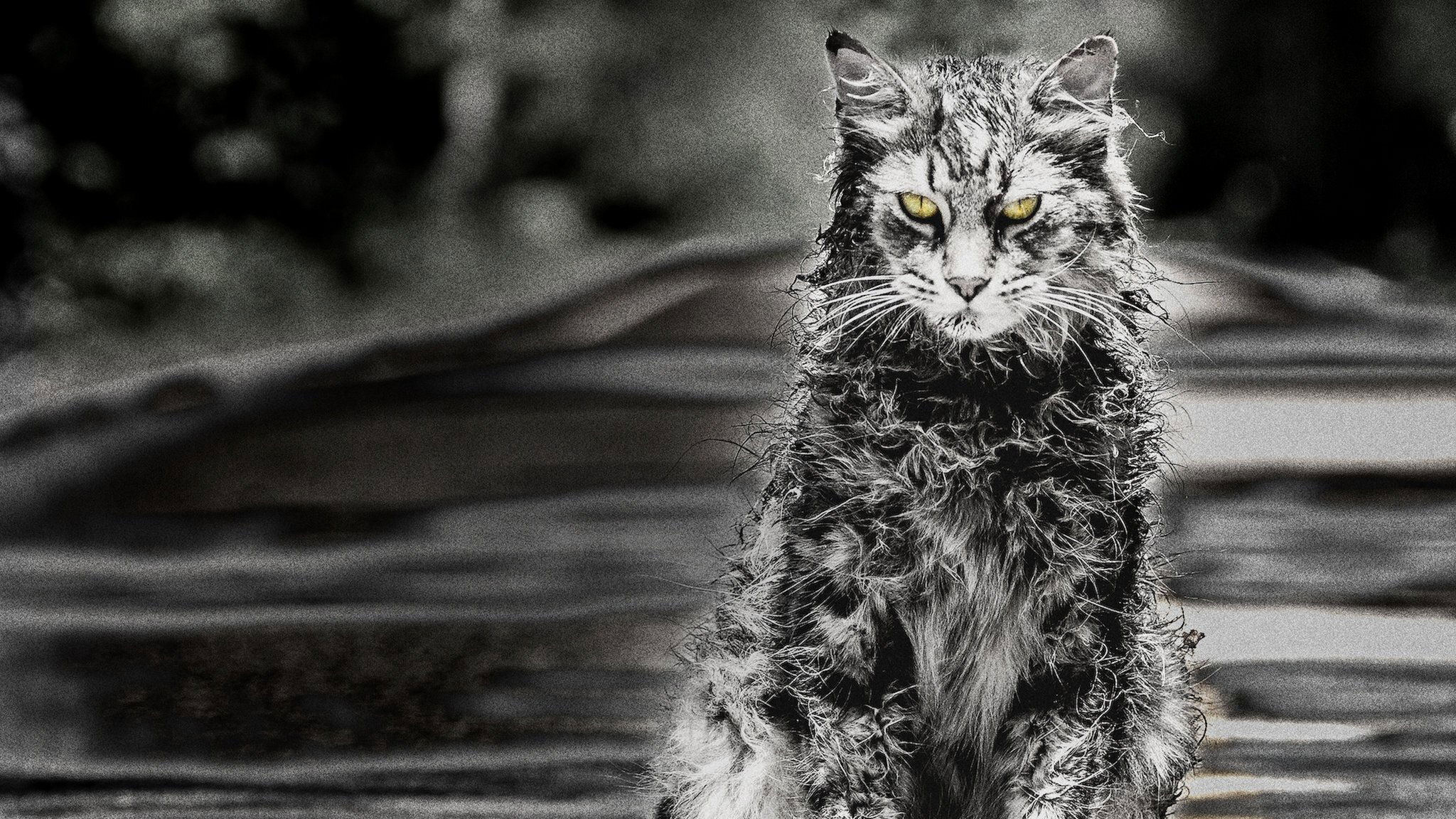 Pet Sematary