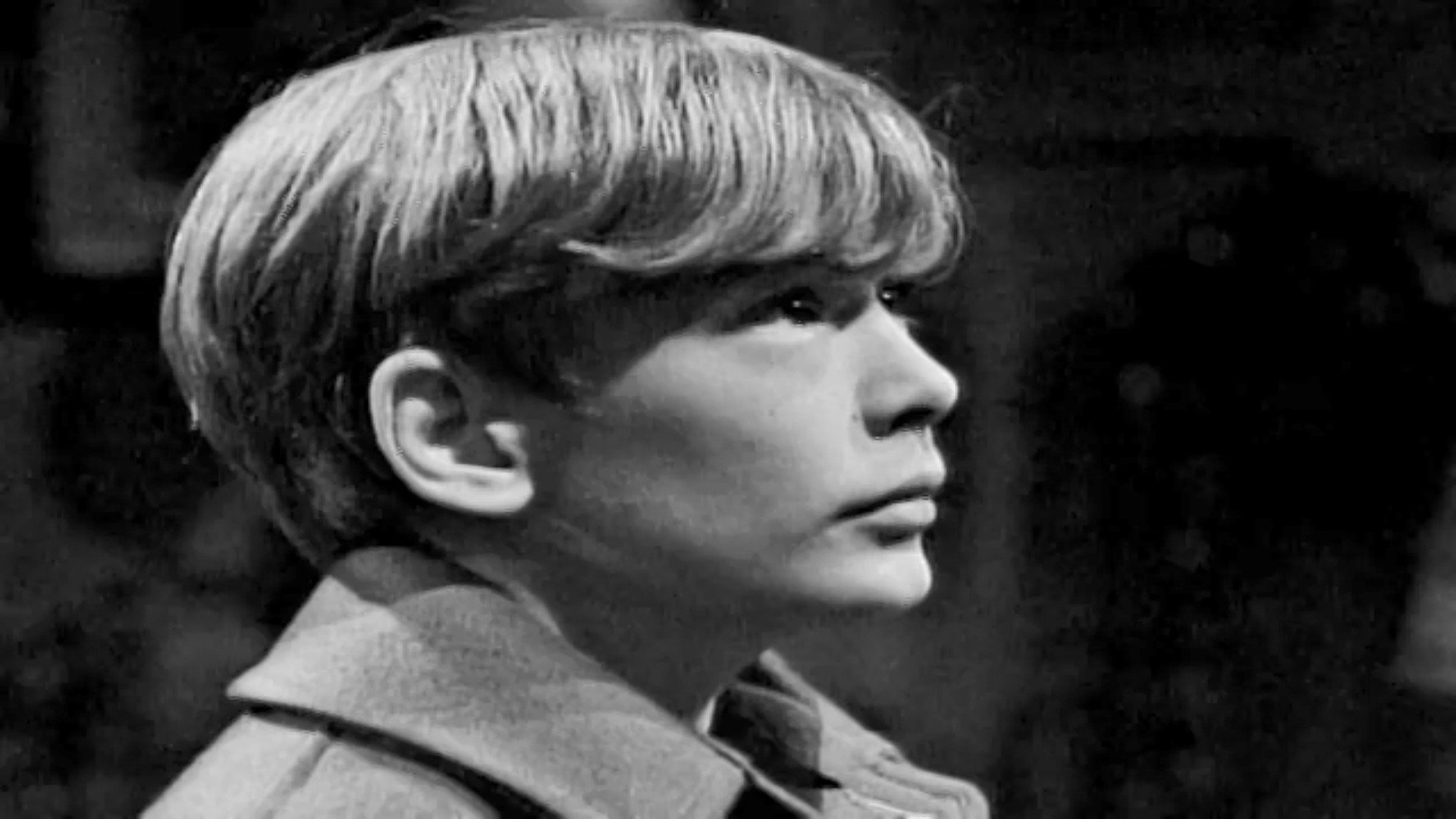 Dark Shadows