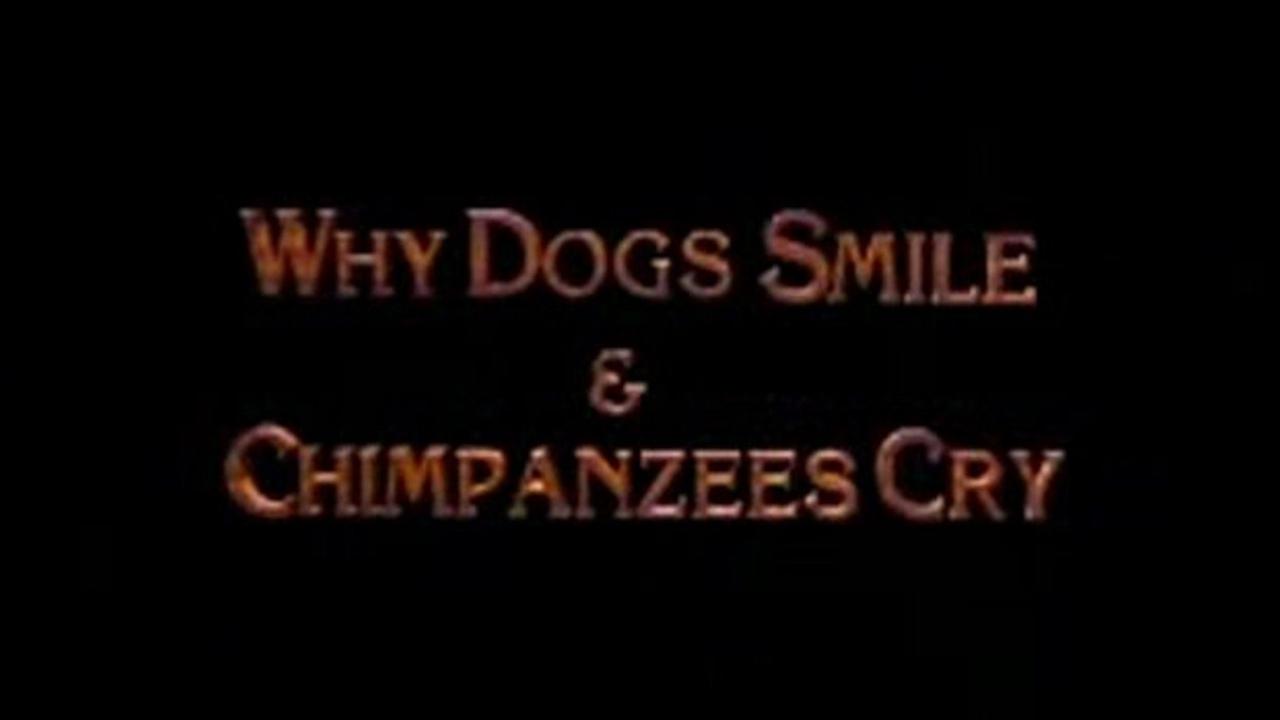 Why Dogs Smile and Chimpanzees Cry (1999)