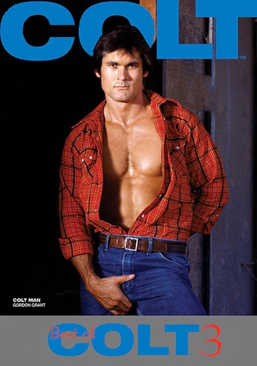 The Best of Colt Films: Part 3 (1986) movie poster