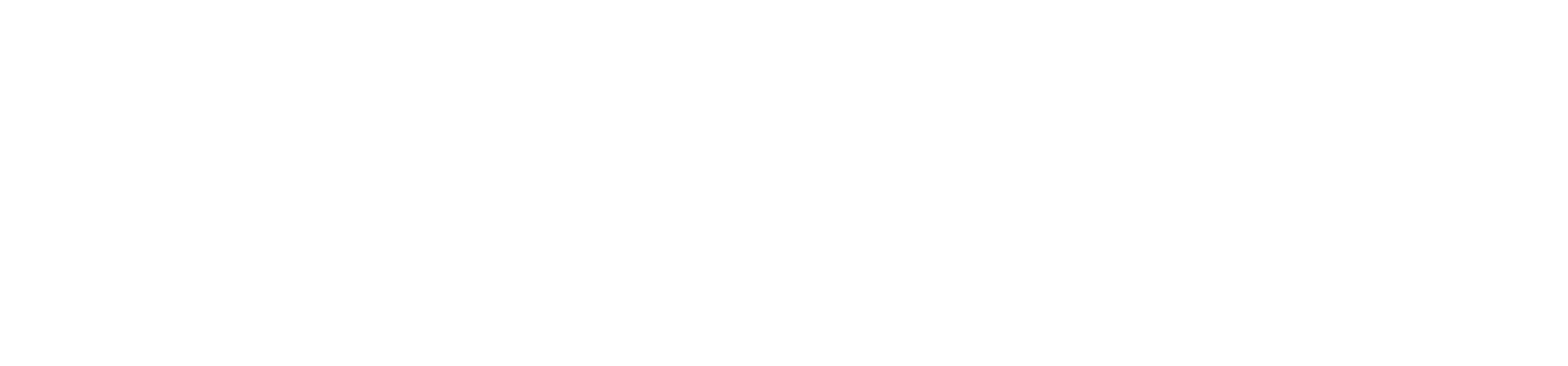 Secrets of the Penguins Logo