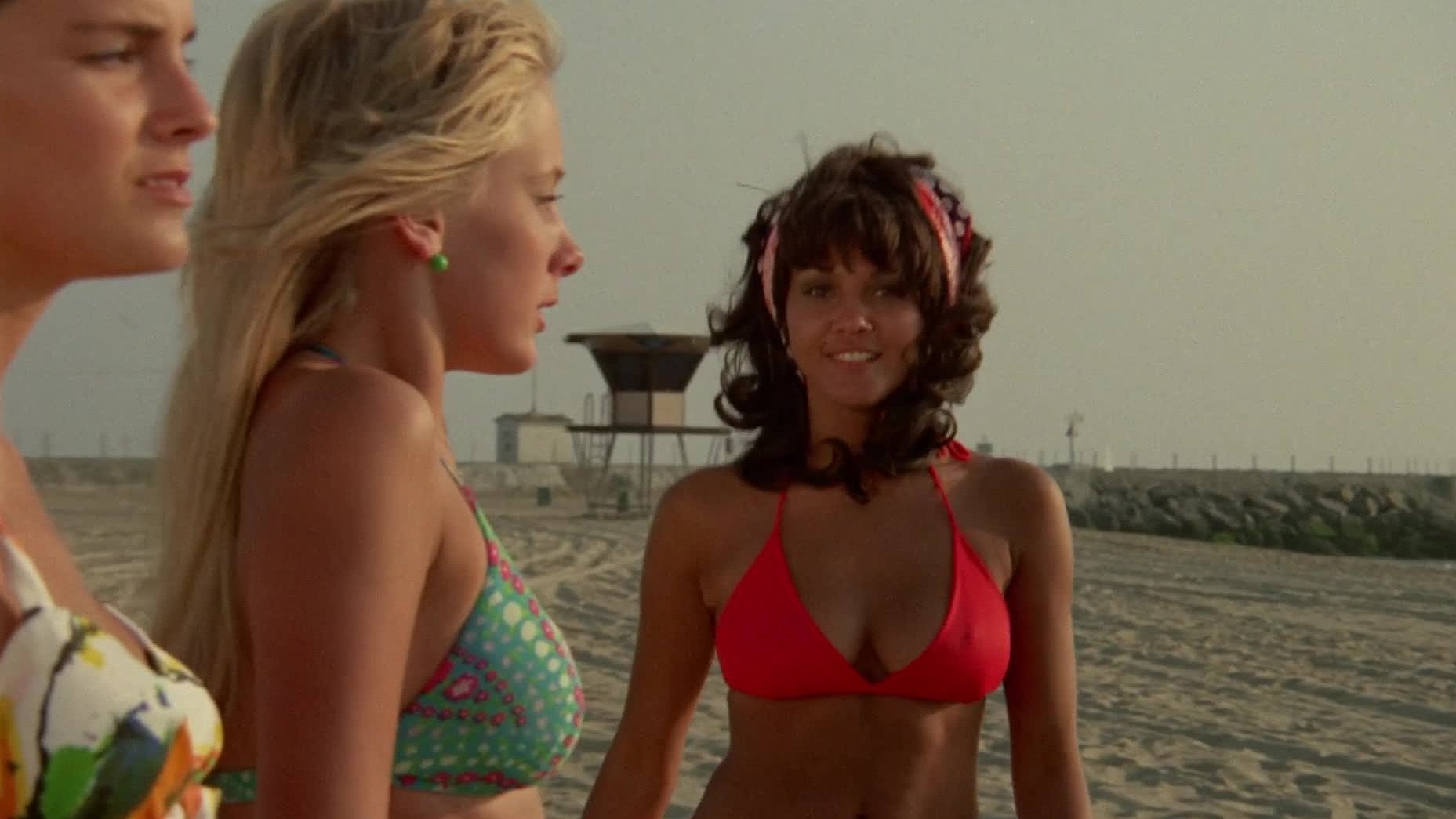 The Roommates (1973)